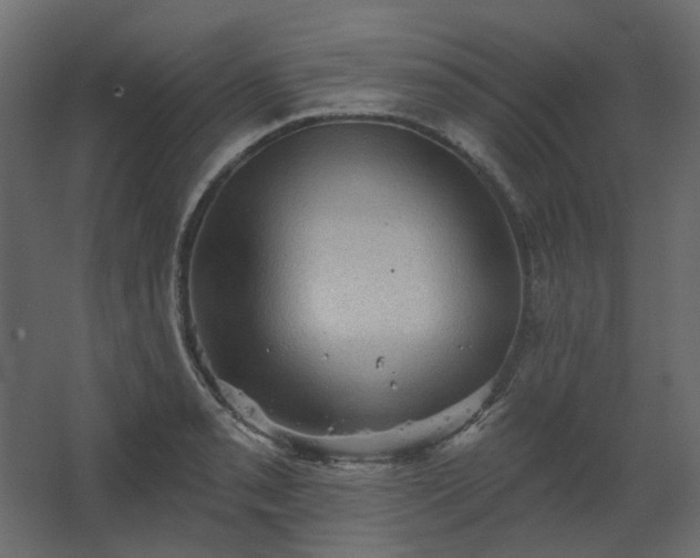 X0000067841085200604201235