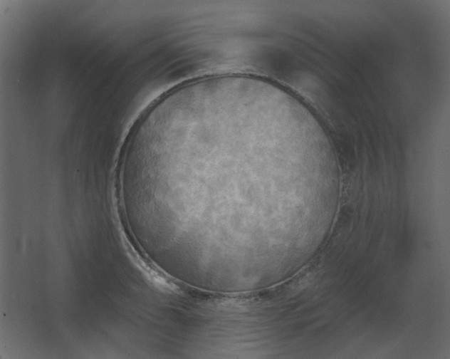 X0000067841086200604201235