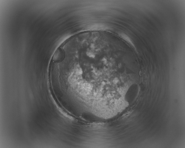 X0000067841087200604201235