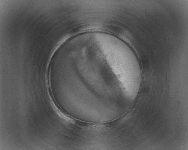 X0000067841090200604201235