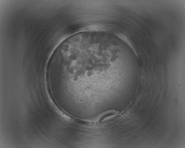 X0000067841091200604201235