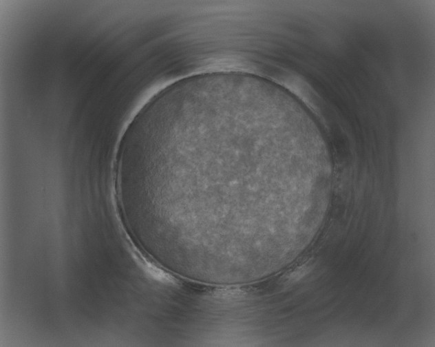 X0000067841094200604201235