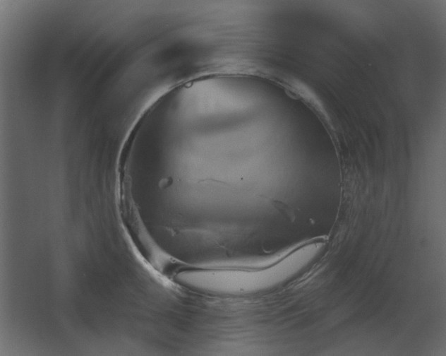 X0000067841095200604201235