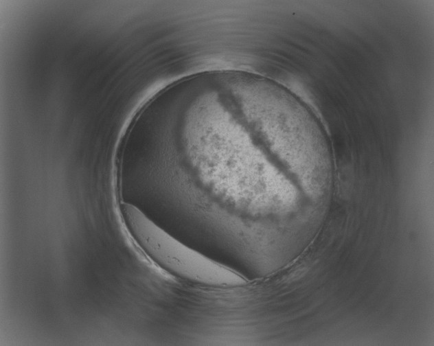 X0000067841096200604201235