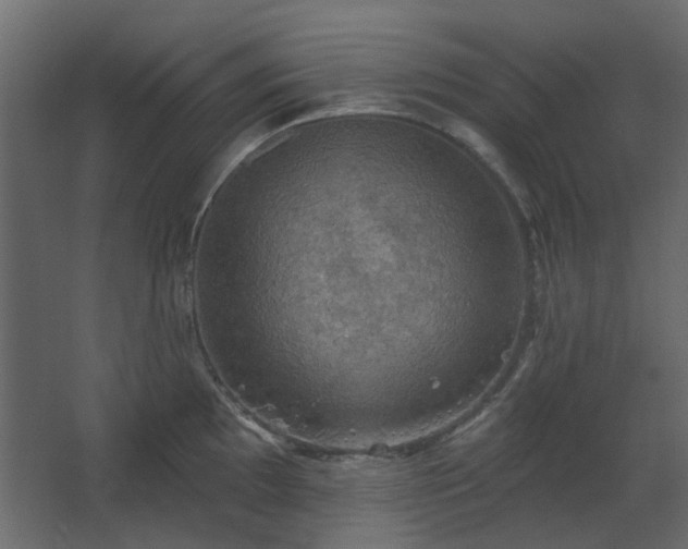 X0000067841097200604201235