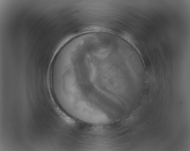 X0000067841098200604201235