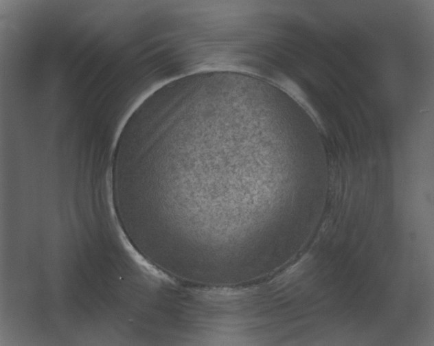 X0000067841100200604201235