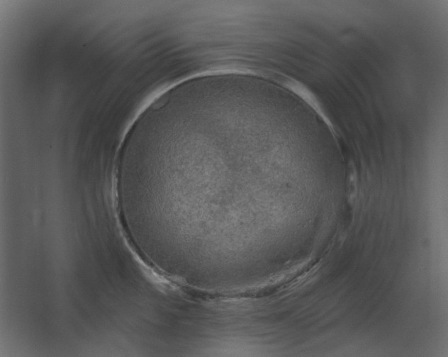 X0000067841101200604201235