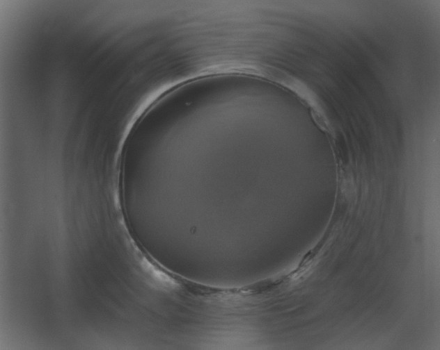 X0000067841102200604201235