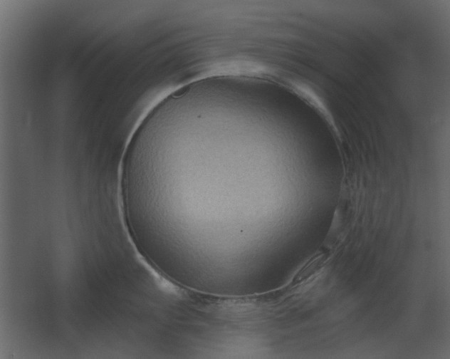 X0000067841103200604201235