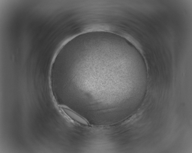 X0000067841104200604201235