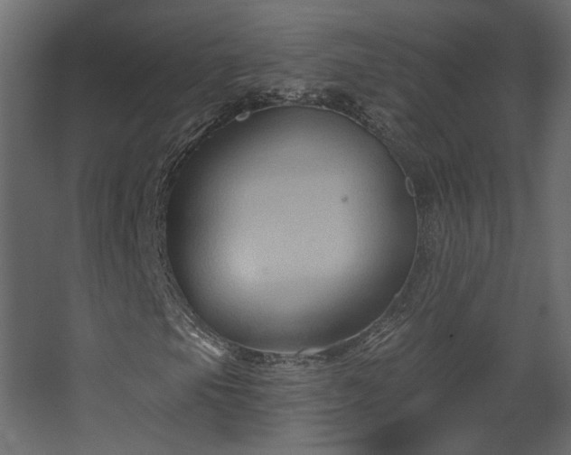 X0000067841105200604201234