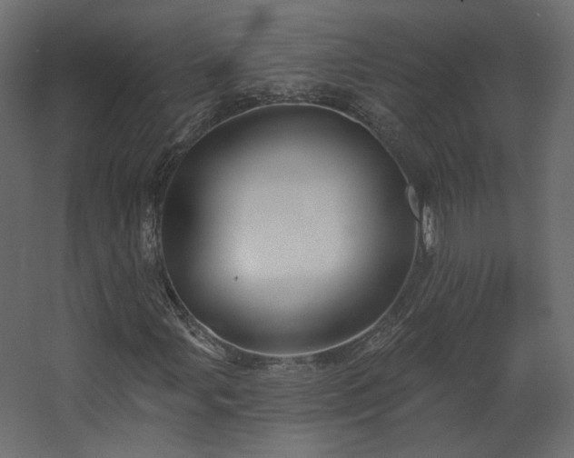 X0000067841107200604201234