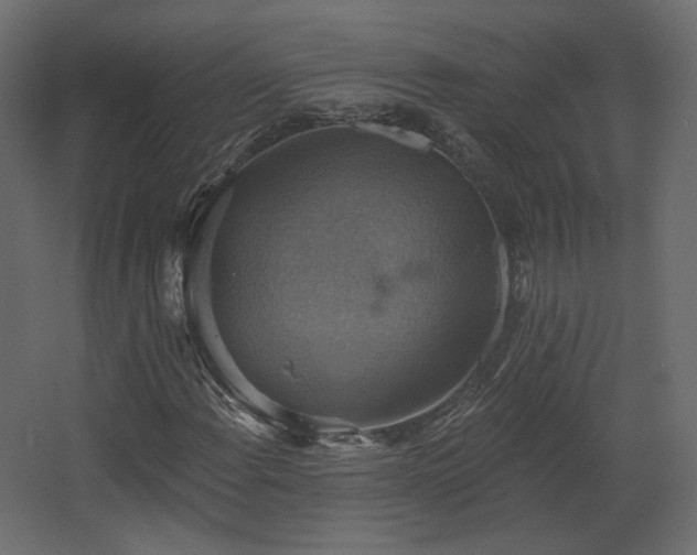 X0000067841108200604201234