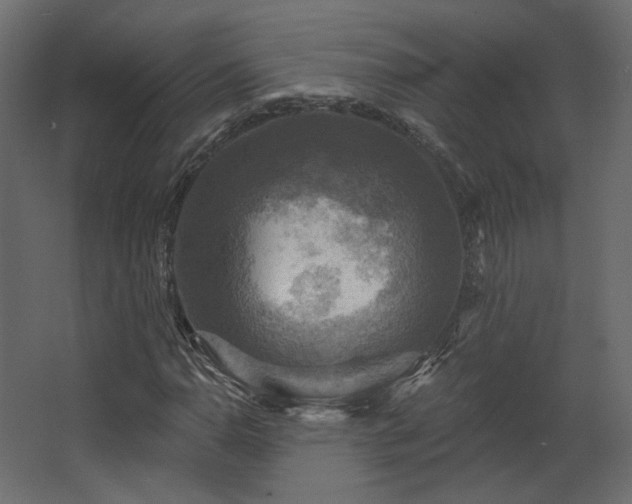 X0000067841110200604201234