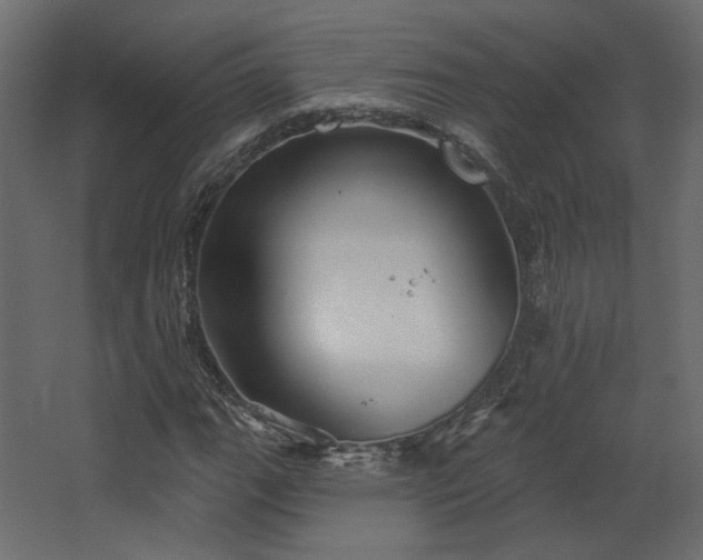 X0000067841111200604201234