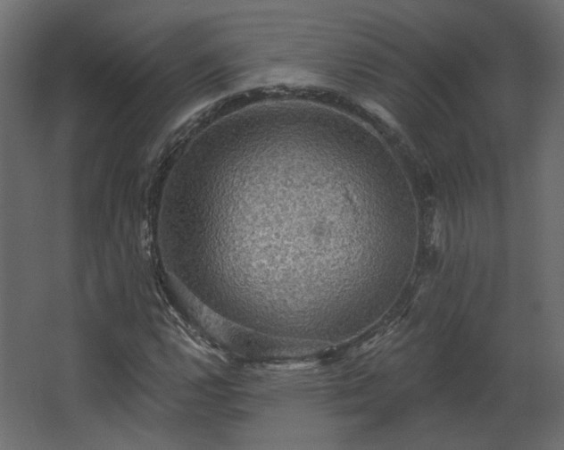 X0000067841112200604201234