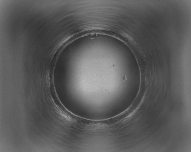 X0000067841113200604201234