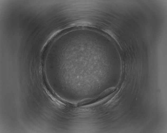 X0000067841115200604201234