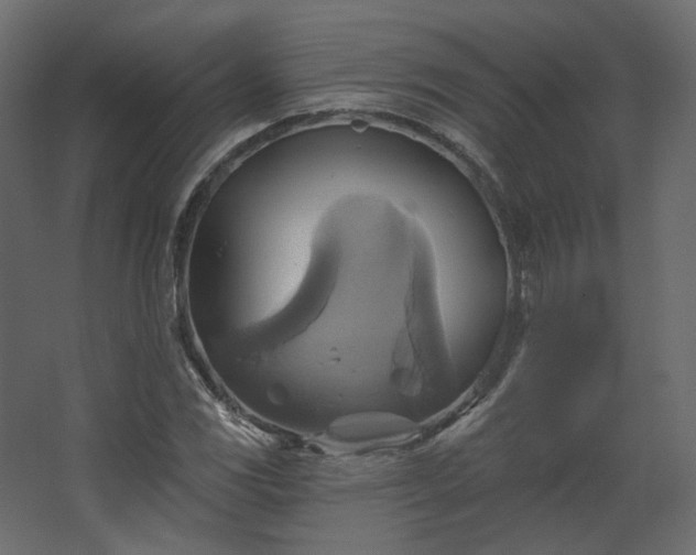 X0000067841117200604201234