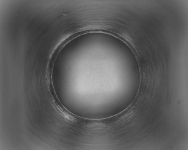 X0000067841119200604201234