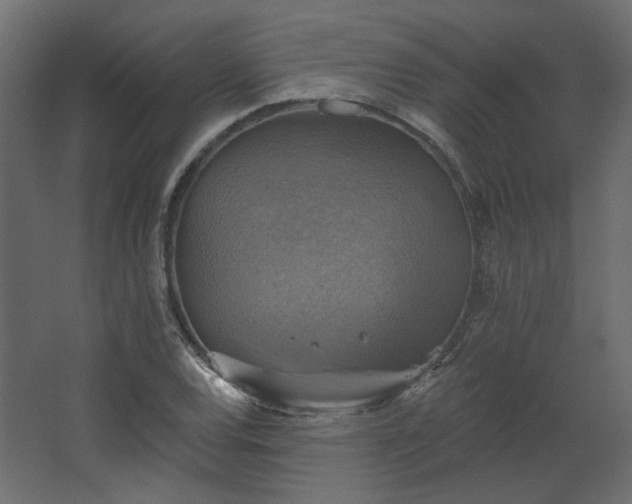 X0000067841120200604201234