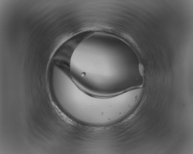 X0000067841122200604201234