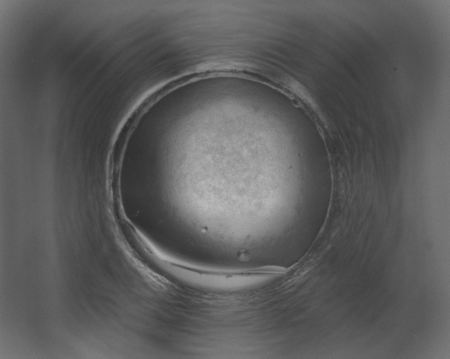 X0000067841124200604201234