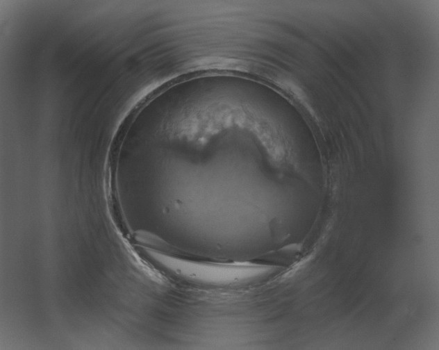 X0000067841125200604201234