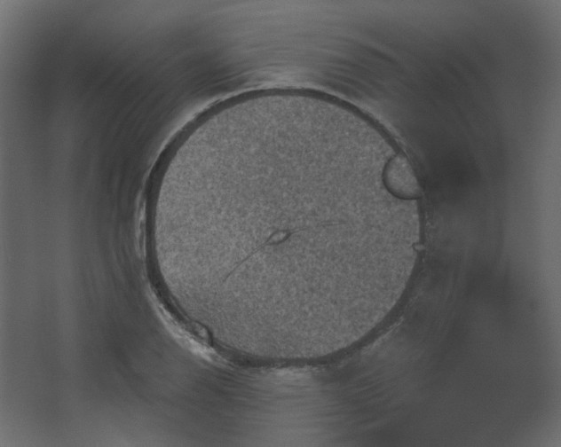 X0000067841126200604201234