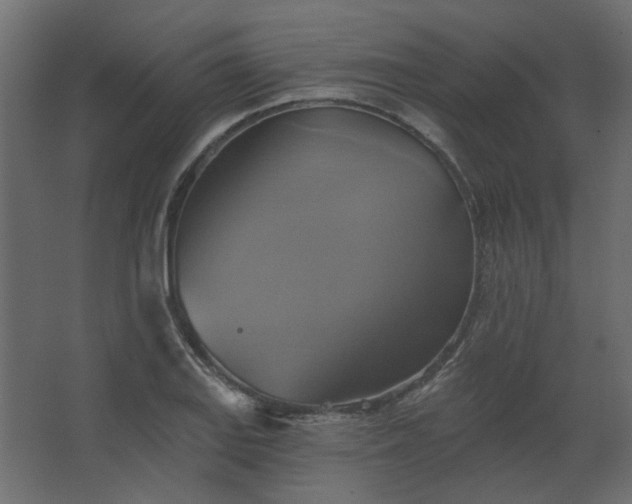 X0000067841127200604201234