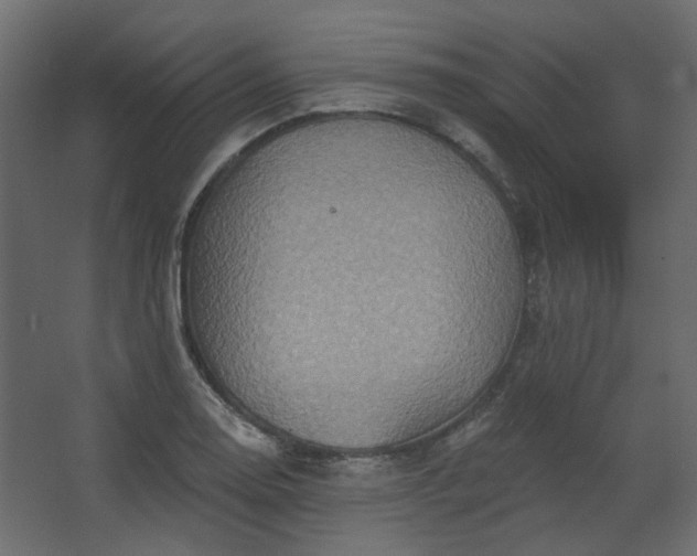 X0000067841130200604201234