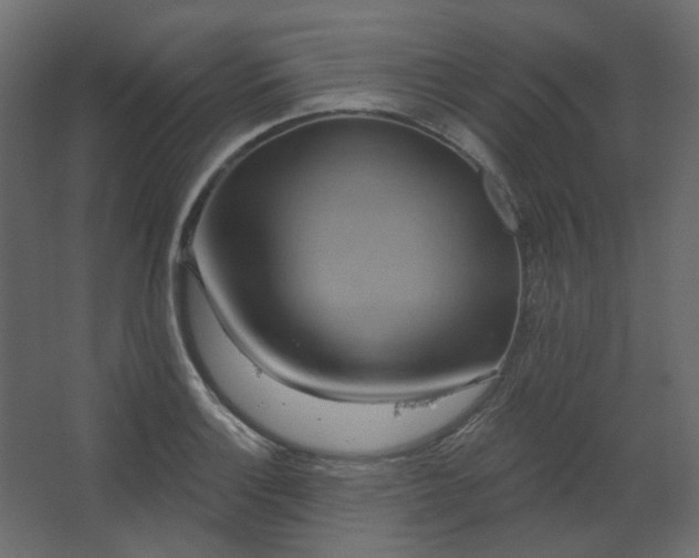 X0000067841132200604201234