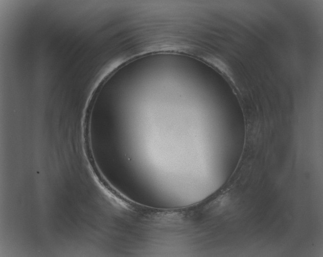 X0000067841135200604201235