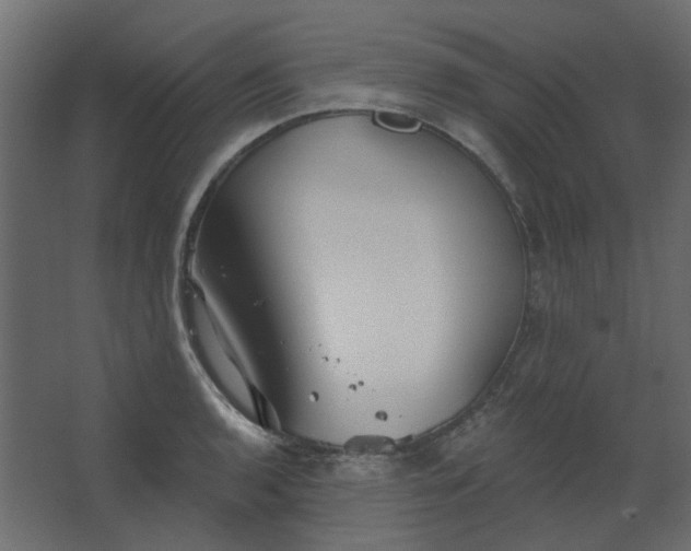 X0000067841136200604201235