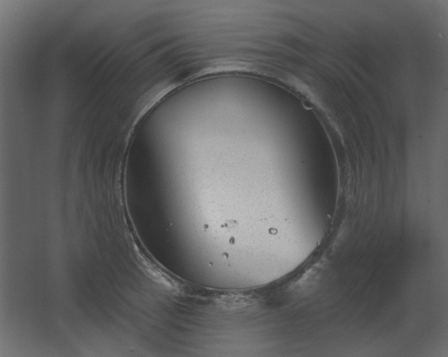 X0000067841137200604201235