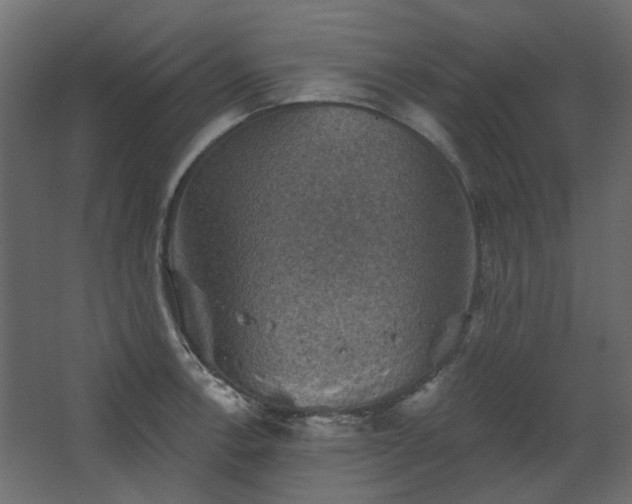 X0000067841138200604201235