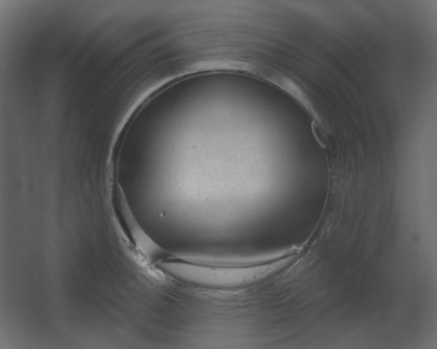 X0000067841140200604201235