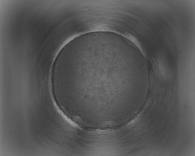 X0000067841142200604201235