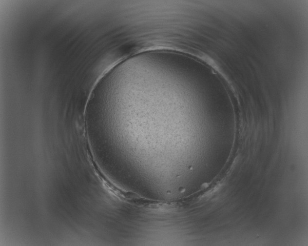 X0000067841145200604201235