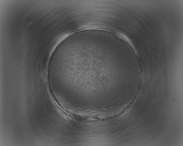 X0000067841146200604201235