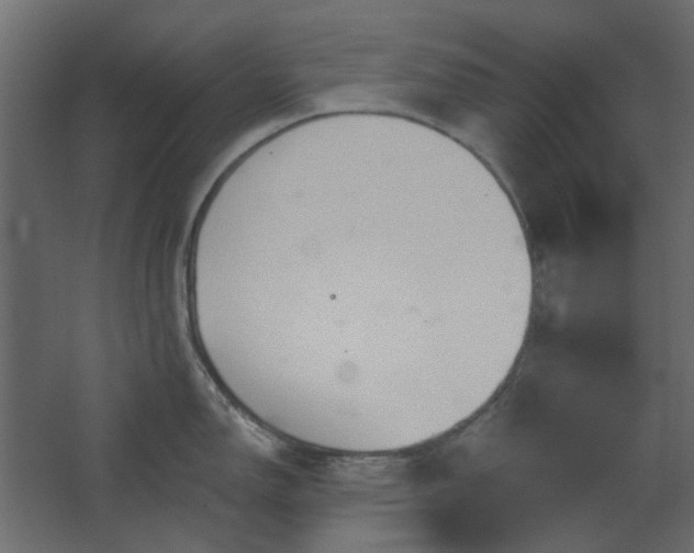 X0000067841150200604201235