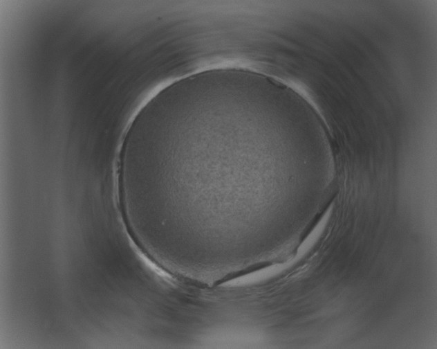 X0000067841151200604201235