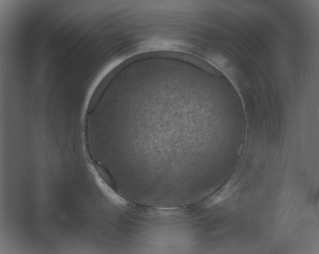 X0000067841152200604201235