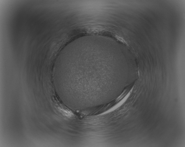 X0000067841153200604201234