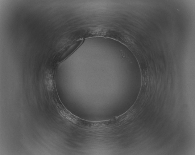 X0000067841154200604201234