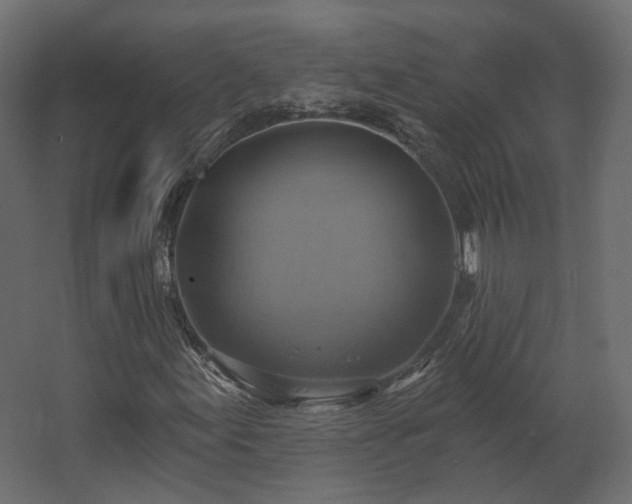 X0000067841155200604201234