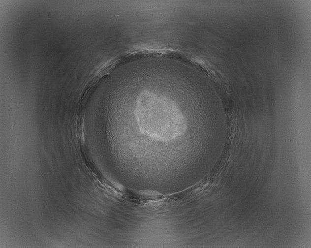 X0000067841157200604201234