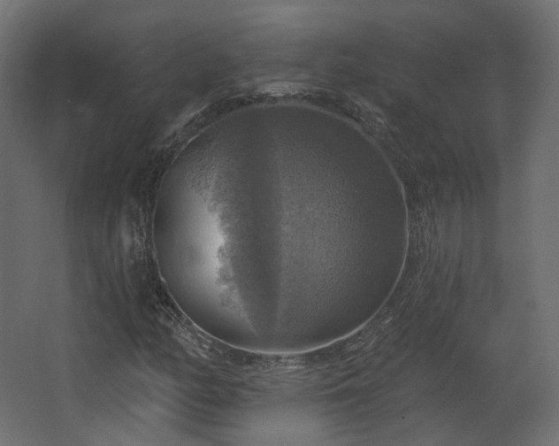 X0000067841158200604201234