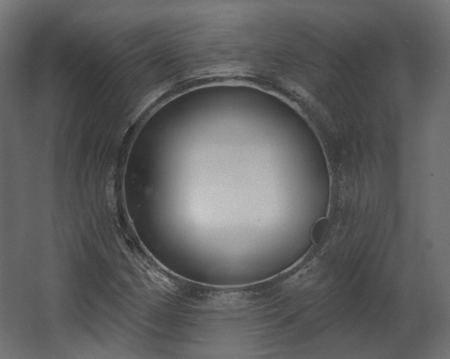 X0000067841162200604201234